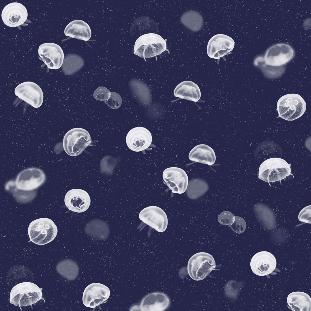 Jellyfish by Coordonne - Blue - Wallpaper : Wallpaper Direct