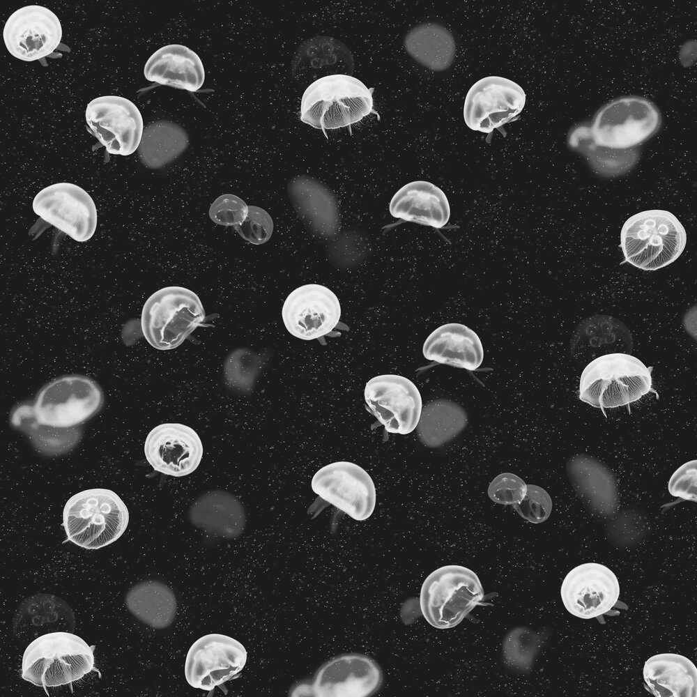 Jellyfish Wallpaper - Black - by Coordonne