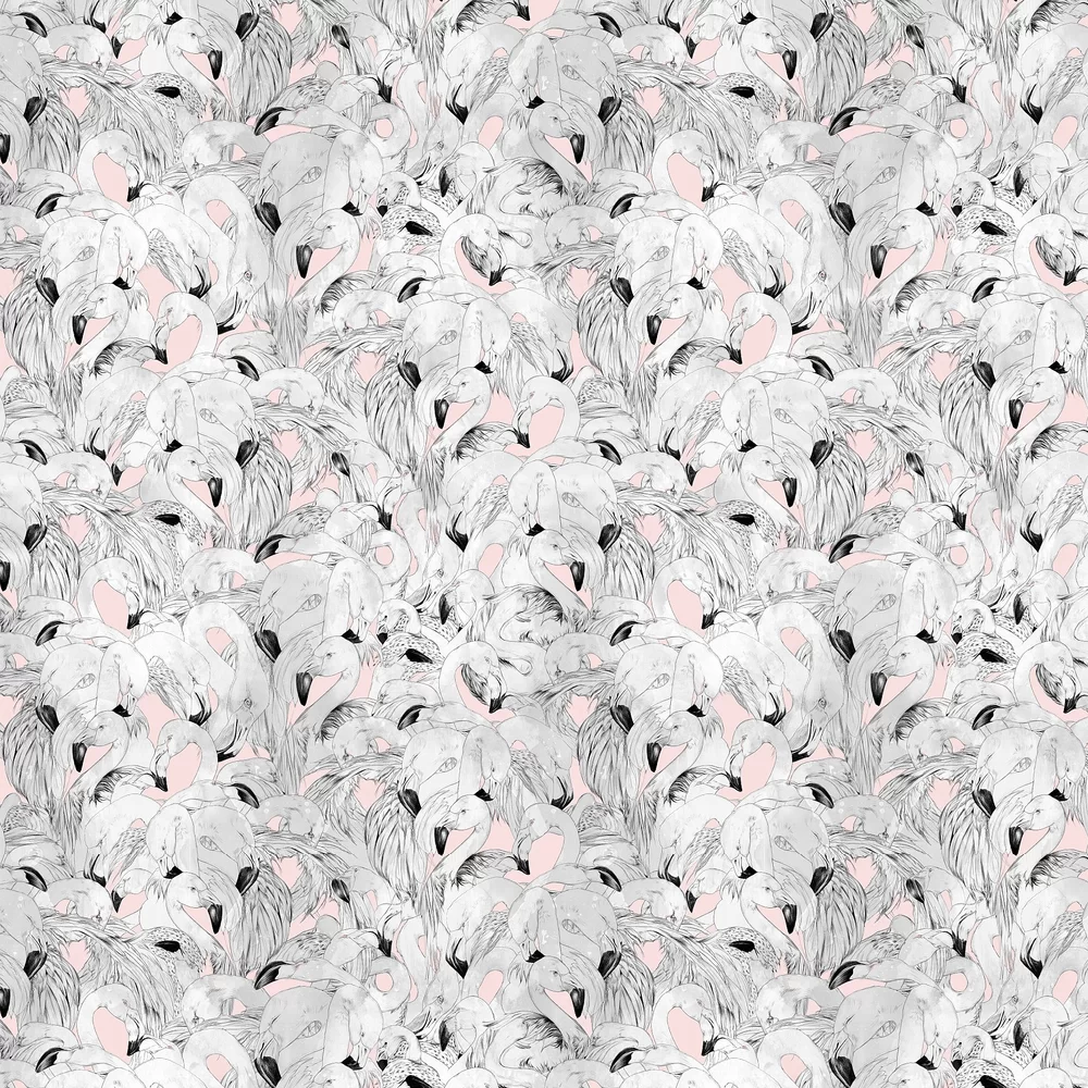 Flamingo by 17 Patterns - Pink - Wallpaper : Wallpaper Direct