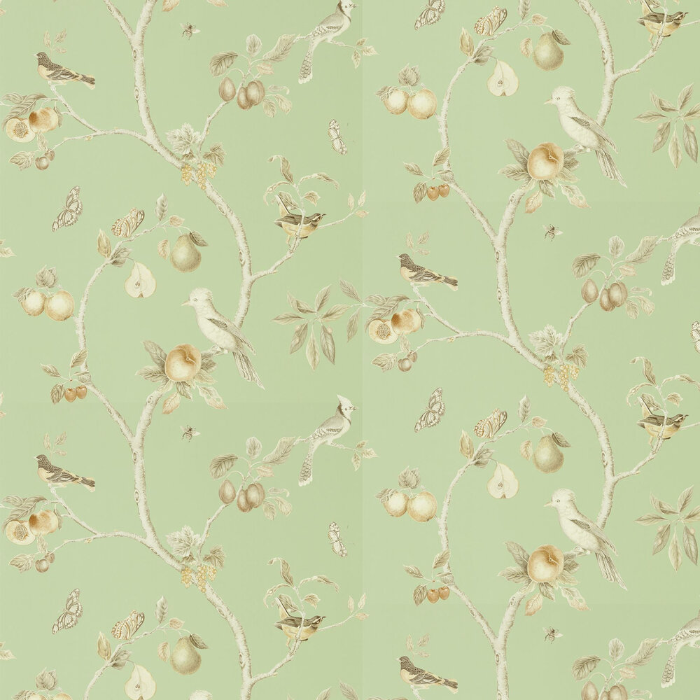 Fruit Aviary Wallpaper - Sage / Neutral - by Sanderson