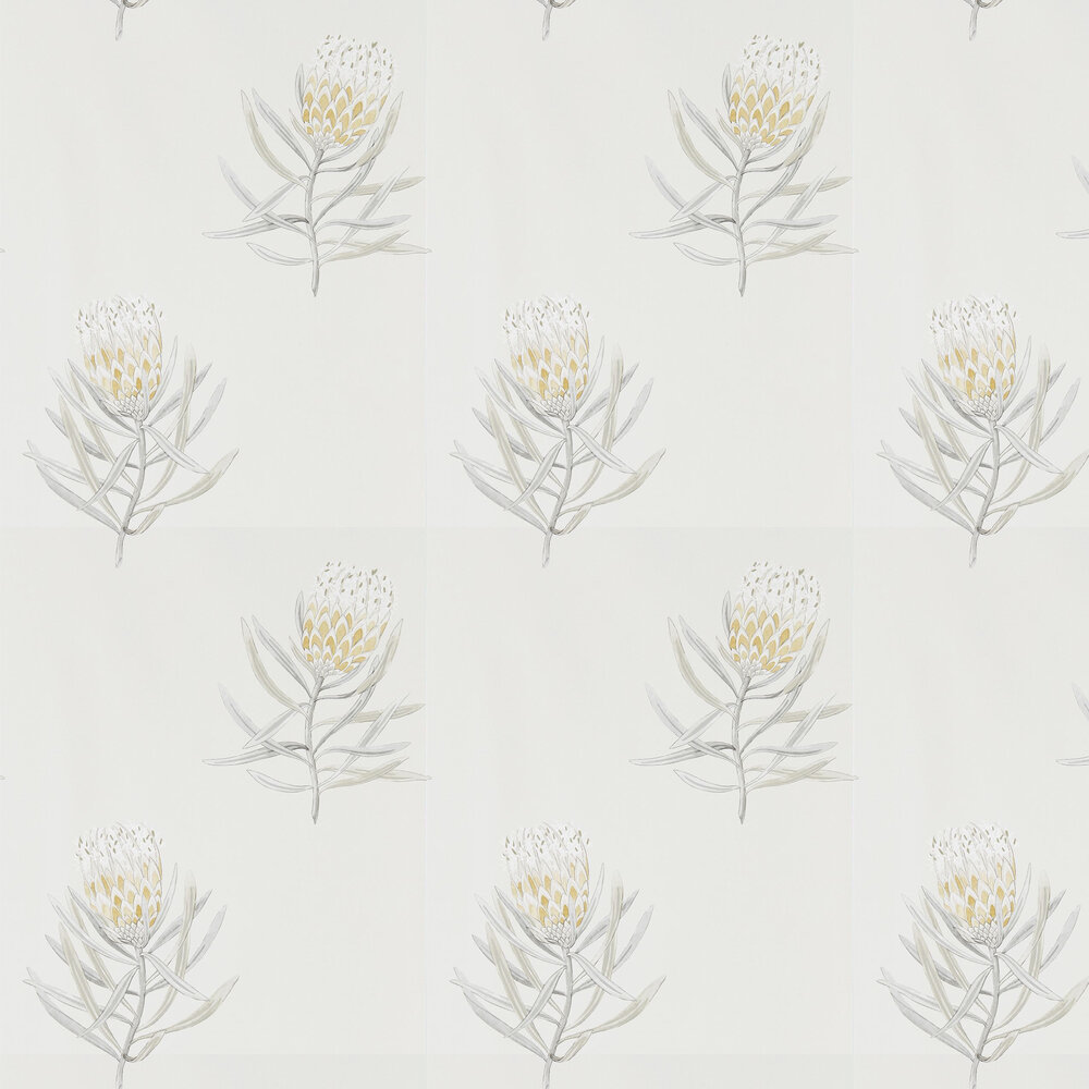Protea Flower Wallpaper - Daffodil / Natural - by Sanderson