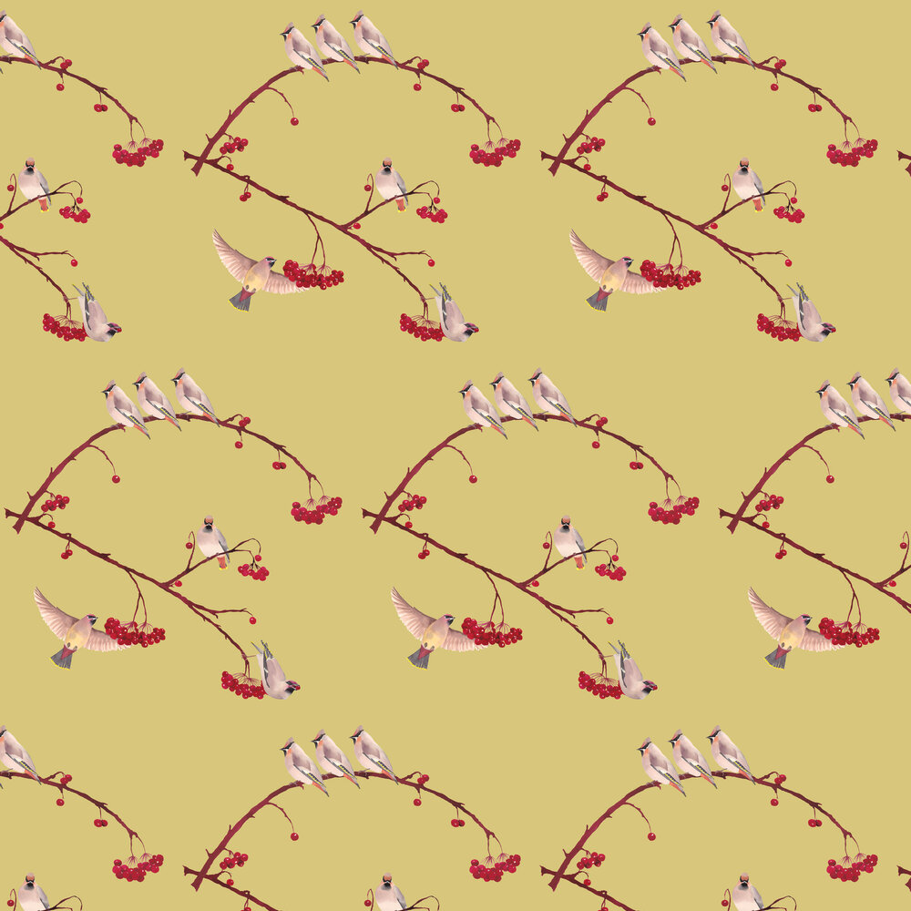 Waxwing Wallpaper - Lentil - by Petronella Hall