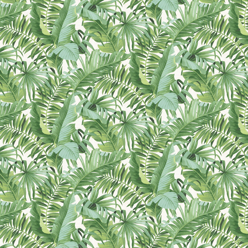Baja Wallpaper - Green - by Albany