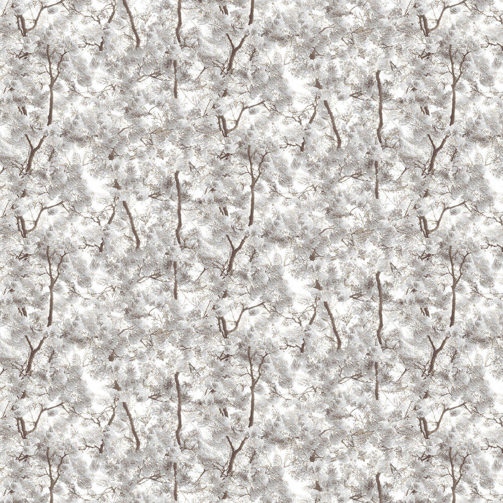 Blossom Arbor Wallpaper - White - by Albany