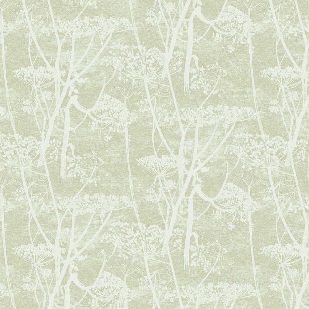 Cow Parsley Wallpaper - Olive Green - by Cole & Son
