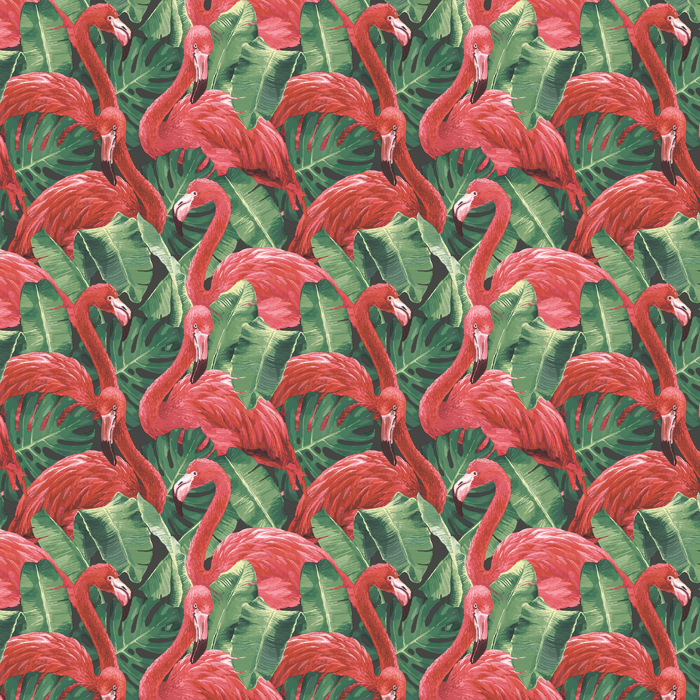 Flamingo Wallpaper - Pink / Green / Black - by Galerie