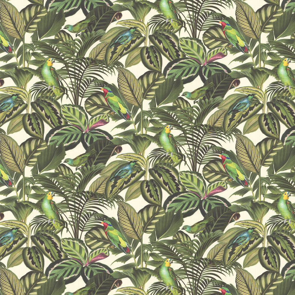Parrot Jungle by Albany - Green - Wallpaper : Wallpaper Direct