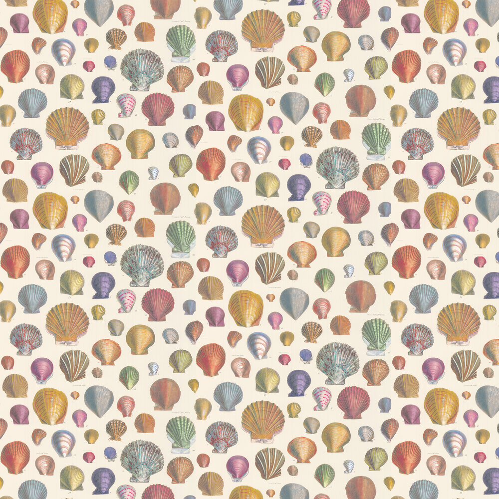 Captain Thomas Brown's Shells Wallpaper - Sepia - by Designers Guild