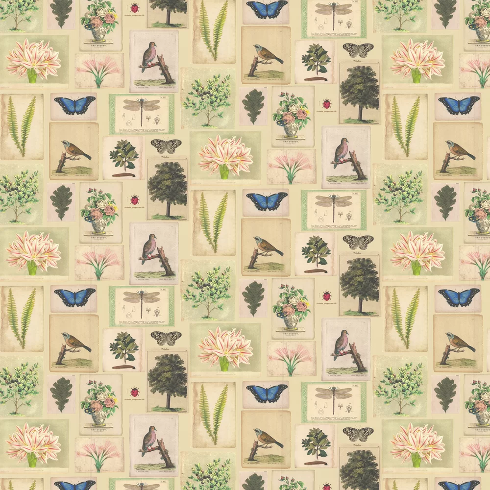 Designers Guild Wallpaper Flora and Fauna PJD6001/01