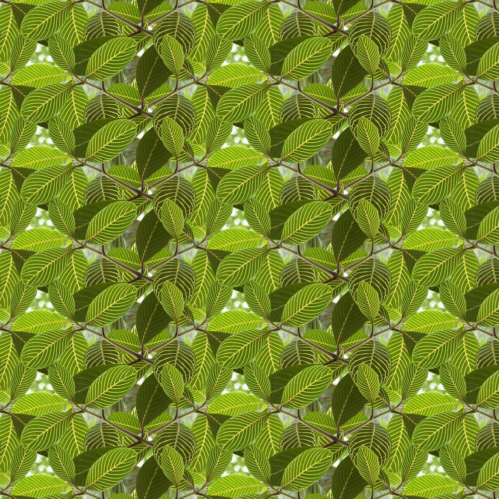 Safari Leaf Wallpaper - Green - by Ella Doran