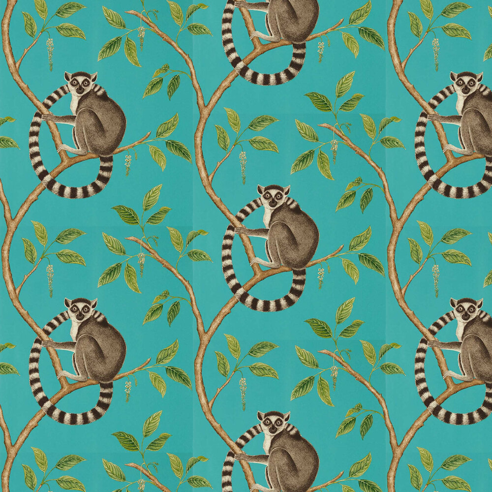 Ringtailed Lemur Wallpaper - Teal - by Sanderson