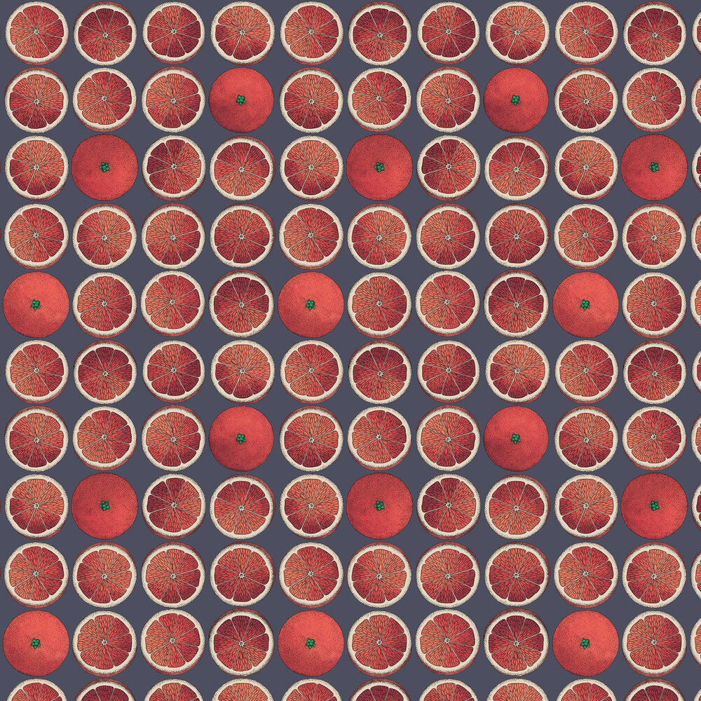 Arance Wallpaper - Blood Orange / Ink - by Cole & Son