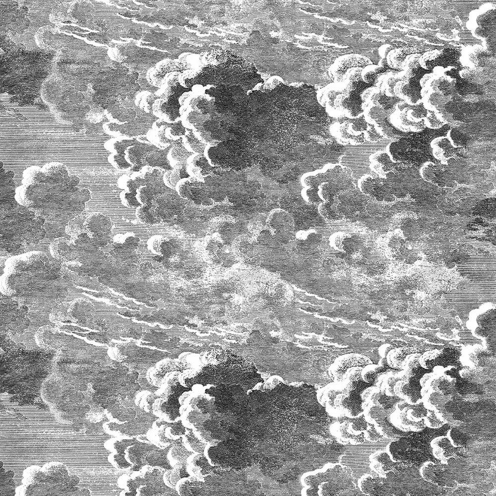 Nuvolette Wallpaper - Black / White - by Cole & Son