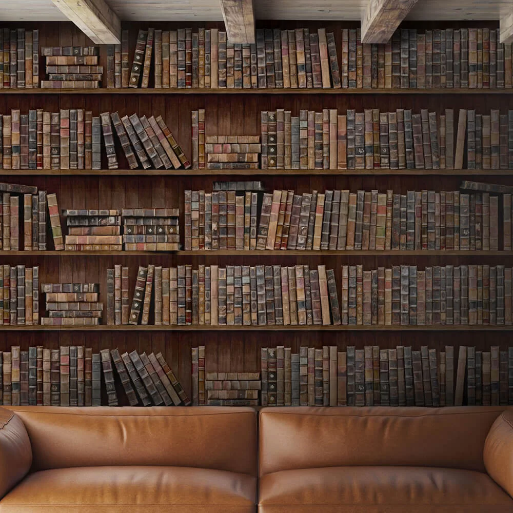 Book Shelves by Mind the Gap - Brown - Mural : Wallpaper Direct