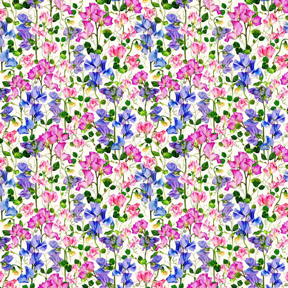 Sweet Pea Wallpaper - Pink and Blue - by Isabelle Boxall