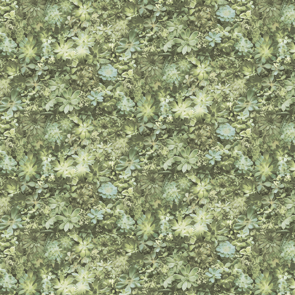 Succulents Wallpaper - Green - by Galerie