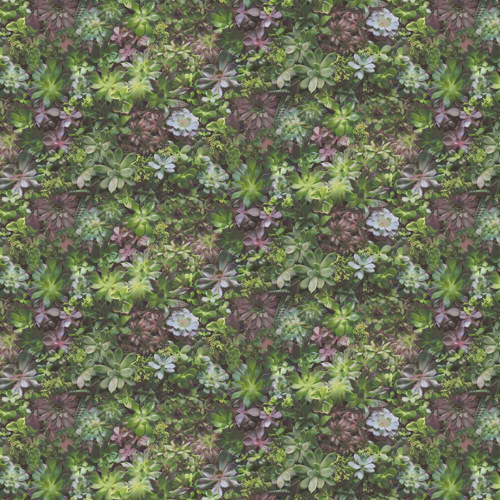 Succulents Wallpaper - Vivid Green and Pink - by Galerie