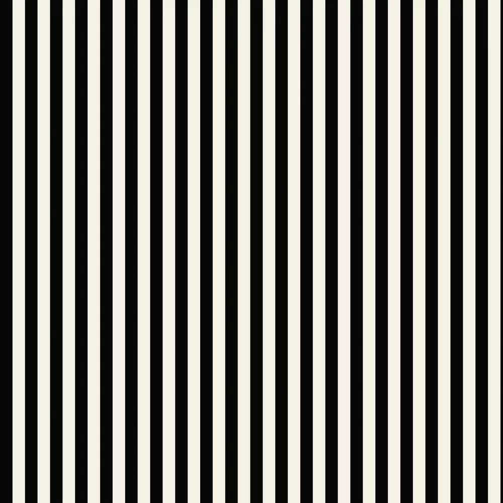 Medium Stripe by Galerie - Black / Pearl - Wallpaper : Wallpaper Direct