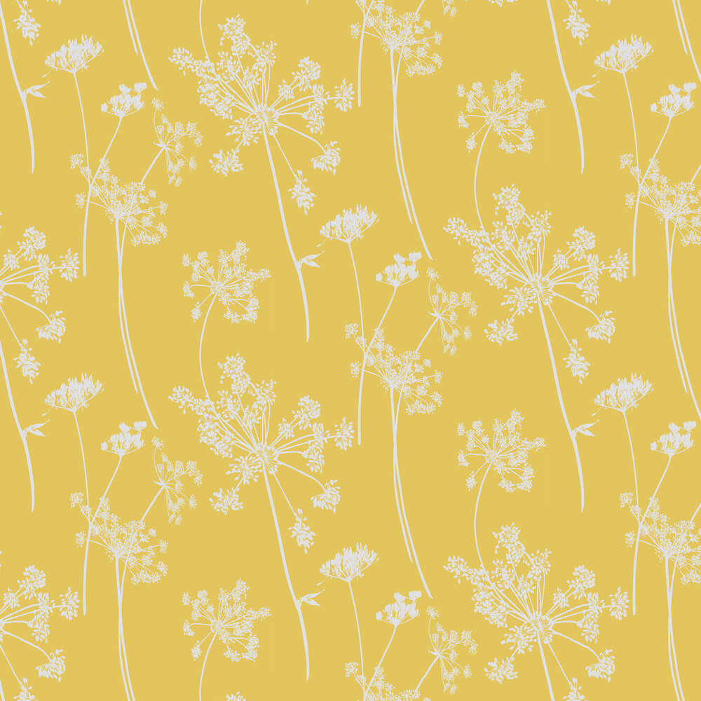Cowparsley Wallpaper - Chinese Yellow (DOPWCO105) - Sanderson Options 10  Wallpapers Collection