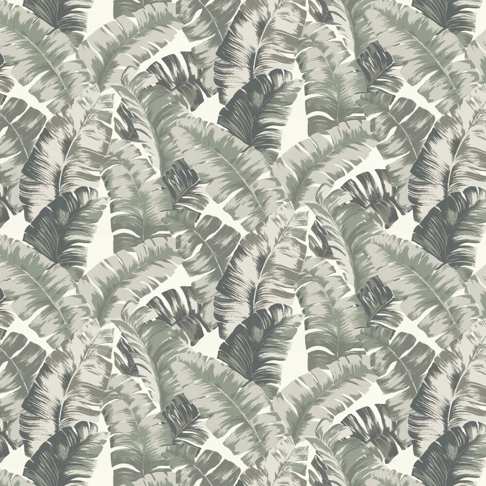 Banana Palm Wallpaper - Grey / Green - by Albany