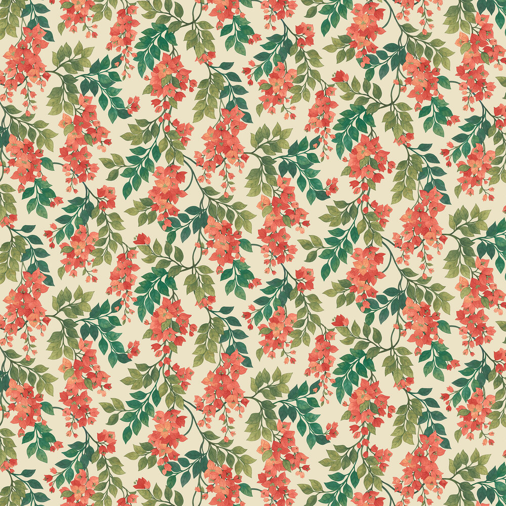 Bougainvillea Wallpaper - Rouge, Olive Green & Emerald on Cream - by Cole & Son