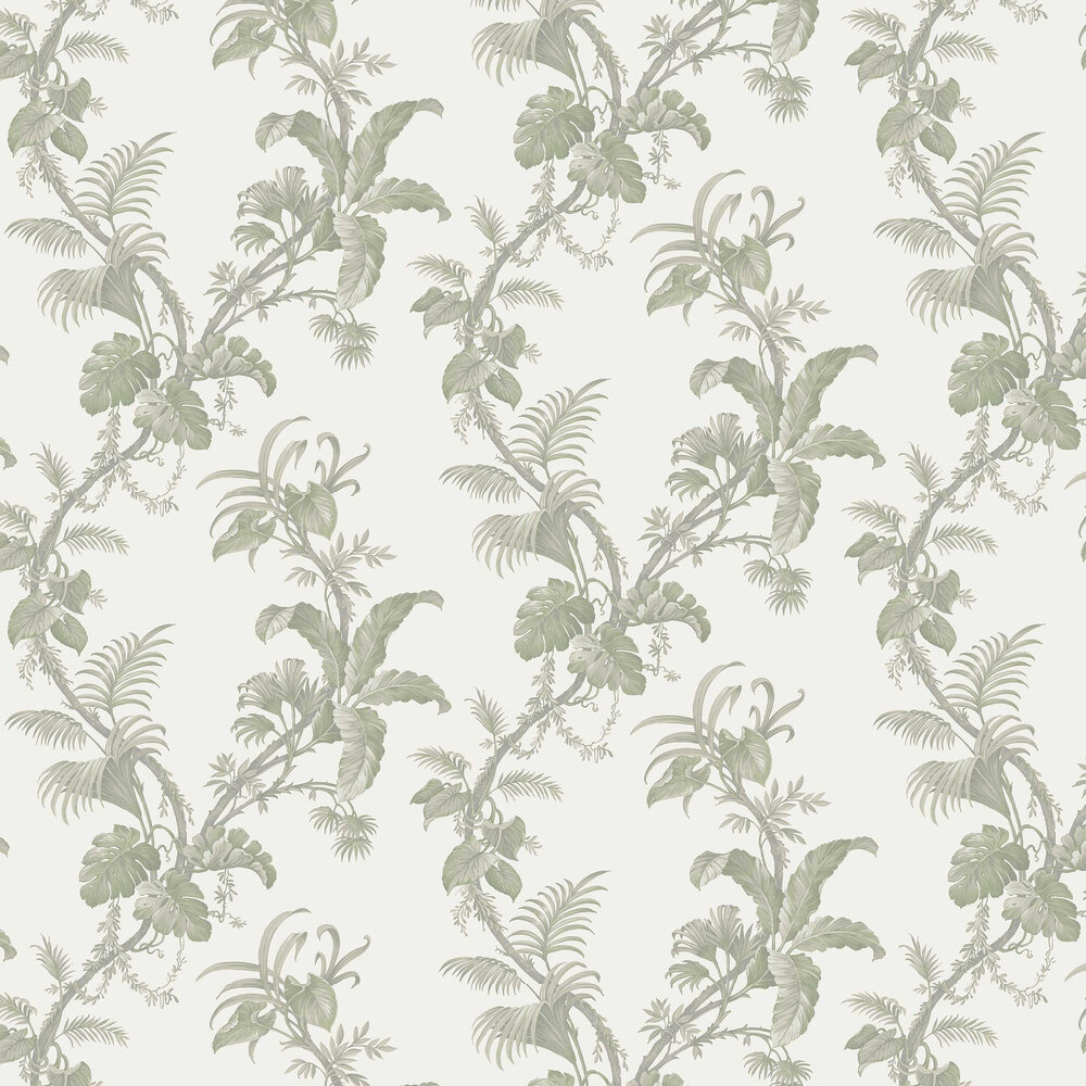 Alocasia Wallpaper - Green - by Albany