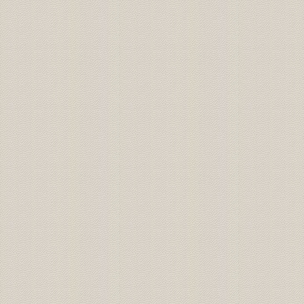 Seedpod Wallpaper - Wattle - by Paint & Paper Library