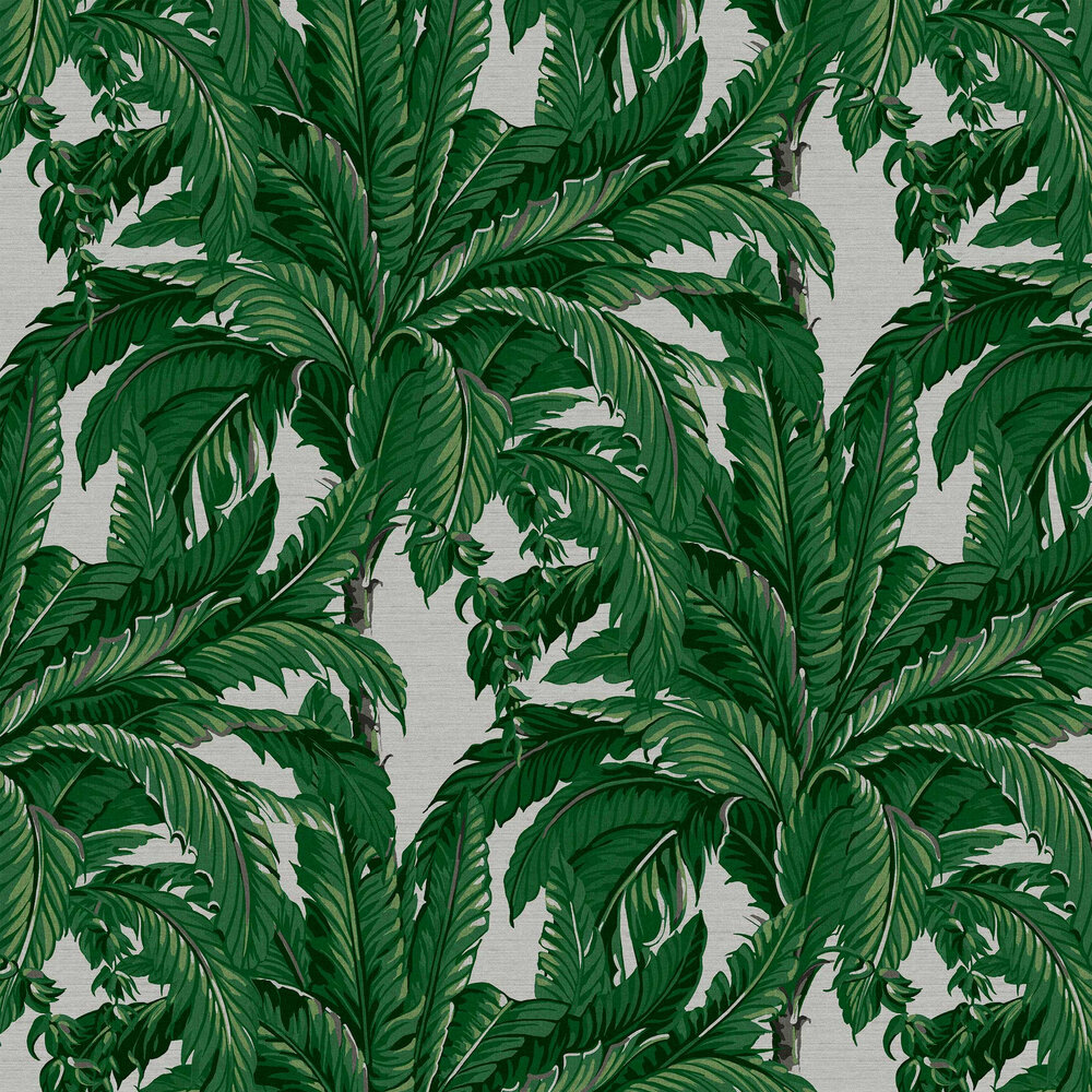Daintree Palm Wallpaper - Pearl - by Graham & Brown