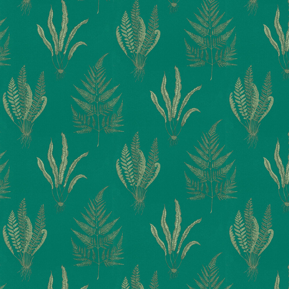 Woodland Ferns Wallpaper - Eucalyptus  - by Sanderson