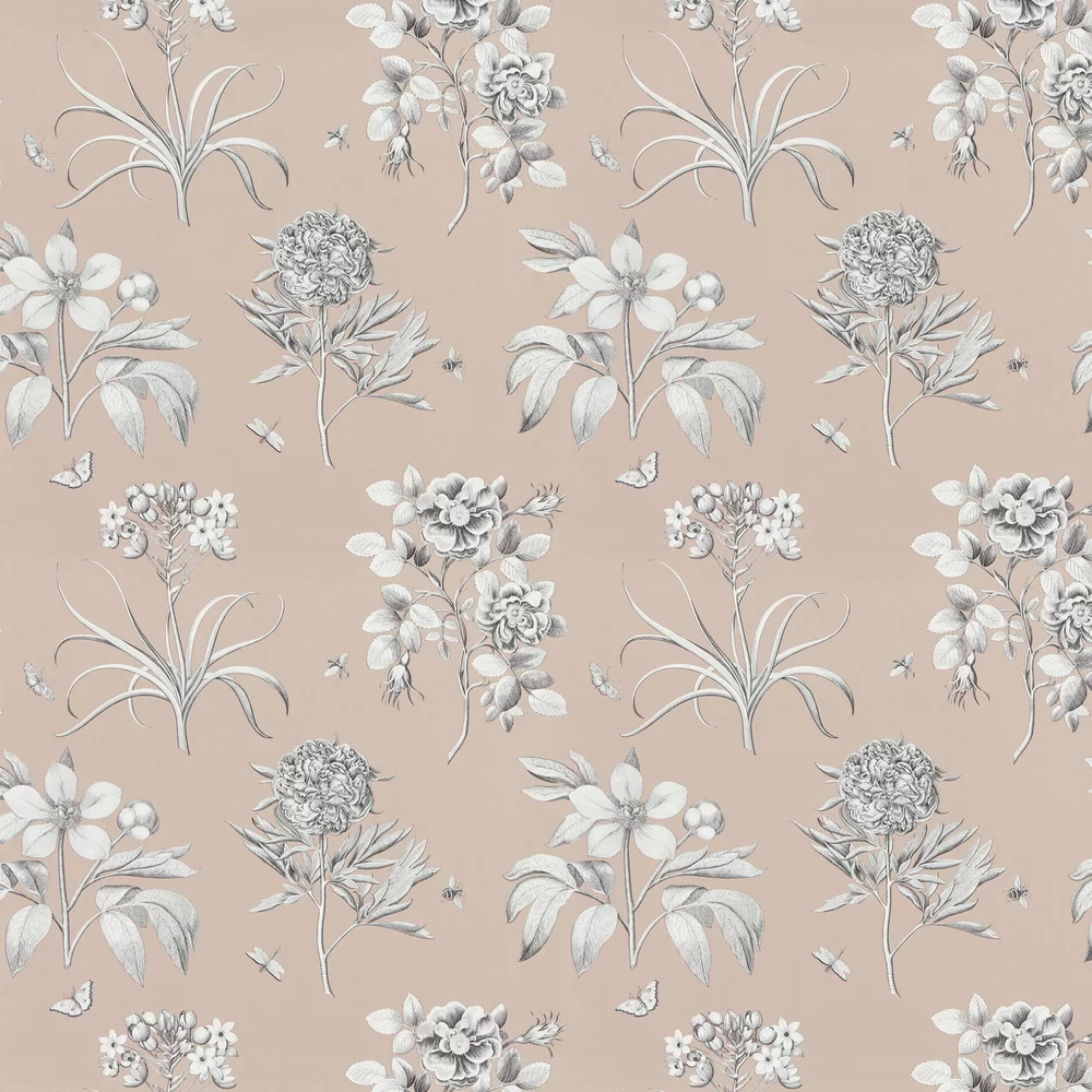 Sanderson Wallpaper Etchings and Roses 216974