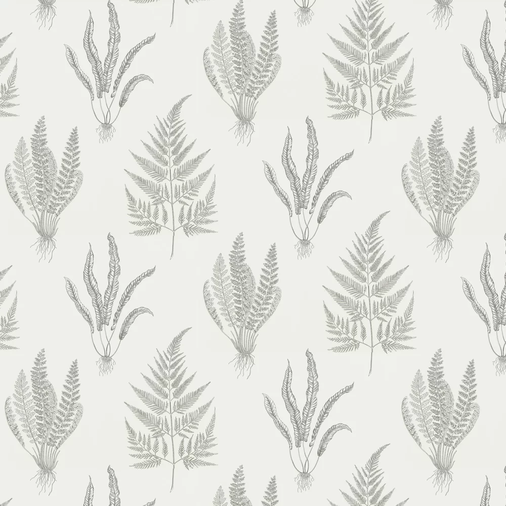 Sanderson Wallpaper Woodland Ferns 216977