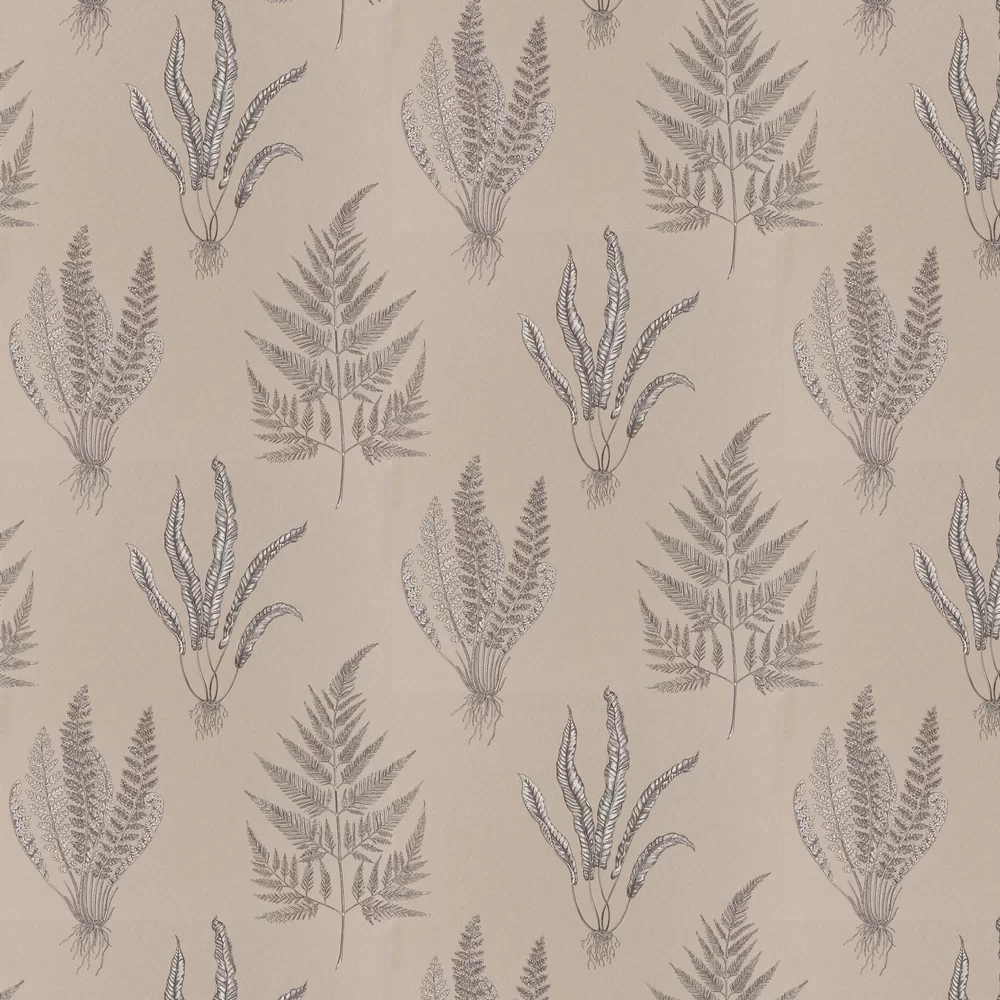 Sanderson Wallpaper Woodland Ferns 216980