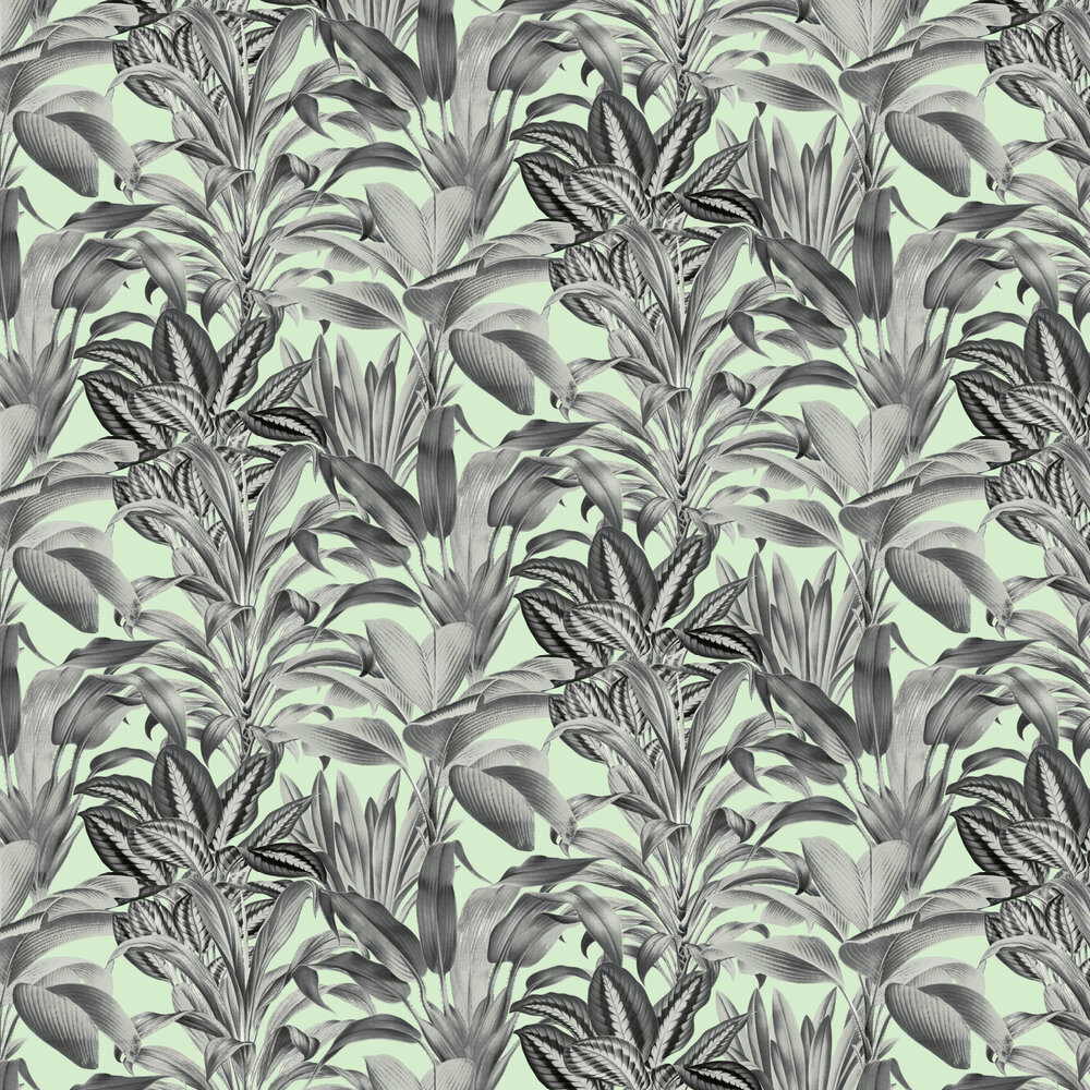 Greenhouse Plants Wallpaper - Mint - by Arthouse