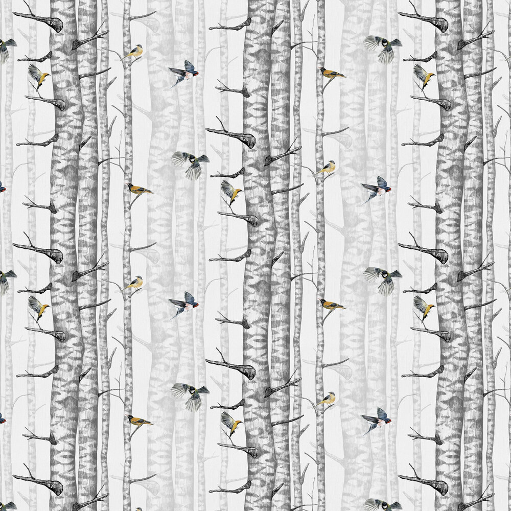 Birch Trees Wallpaper - Grey - by Coordonne