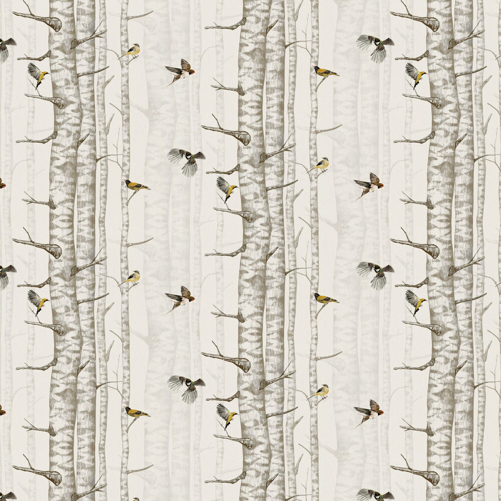 Birch Trees Wallpaper - Beige - by Coordonne