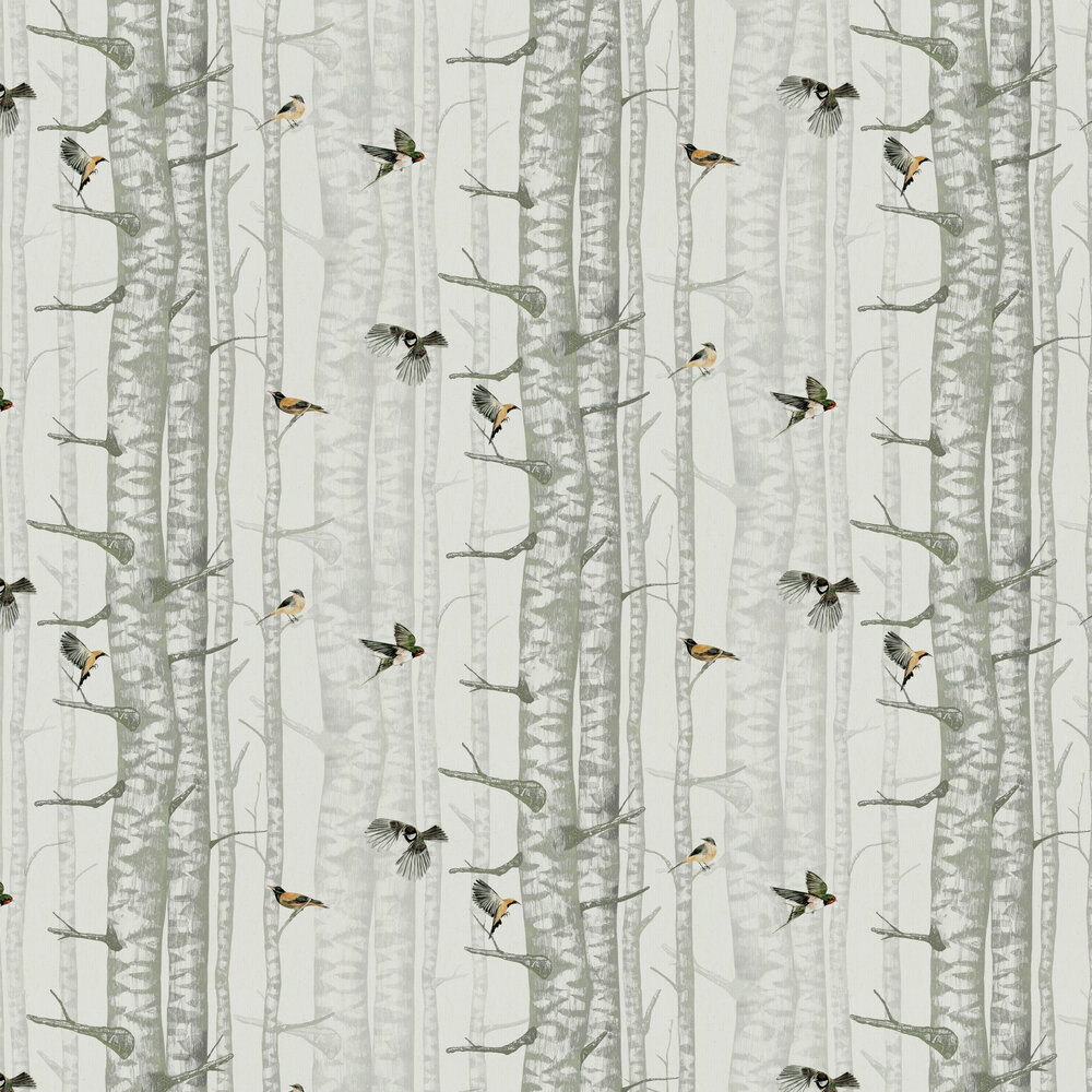 Birch Trees Wallpaper - Silvester - by Coordonne