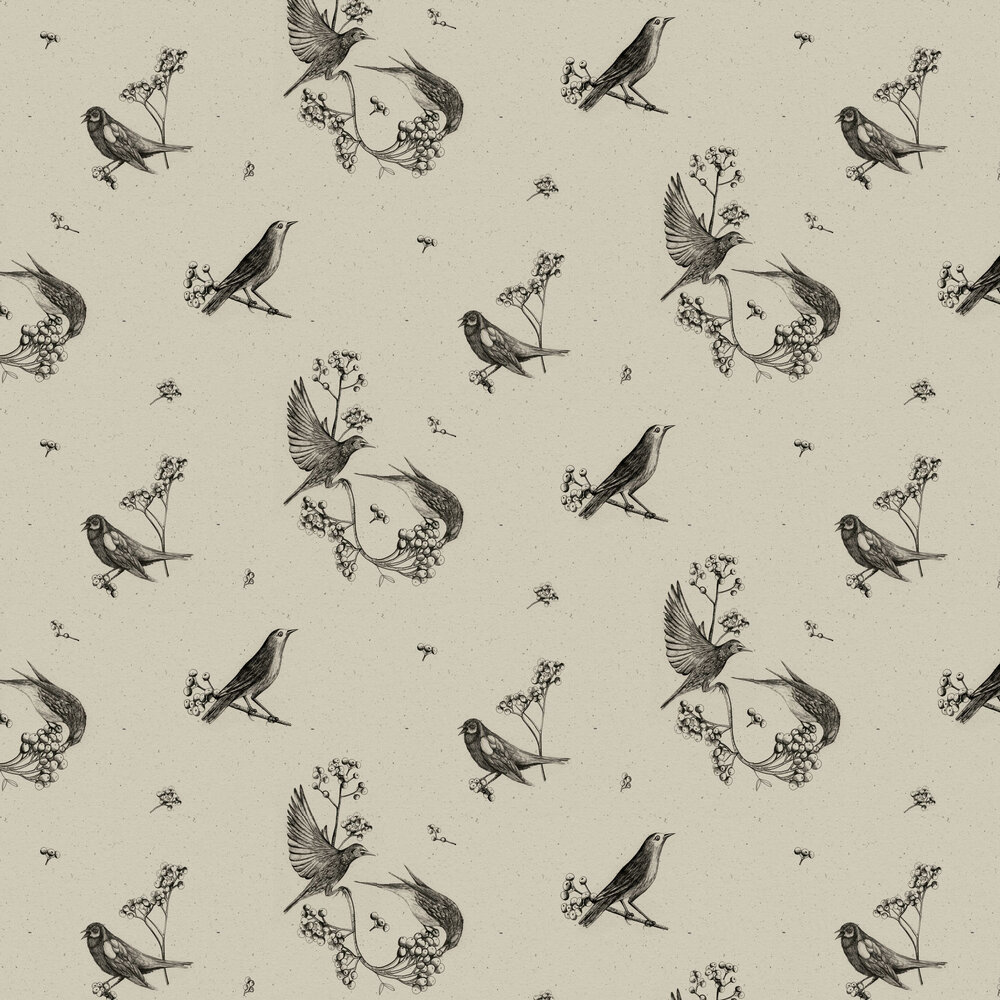 Sweet Birds Wallpaper - Black - by Coordonne