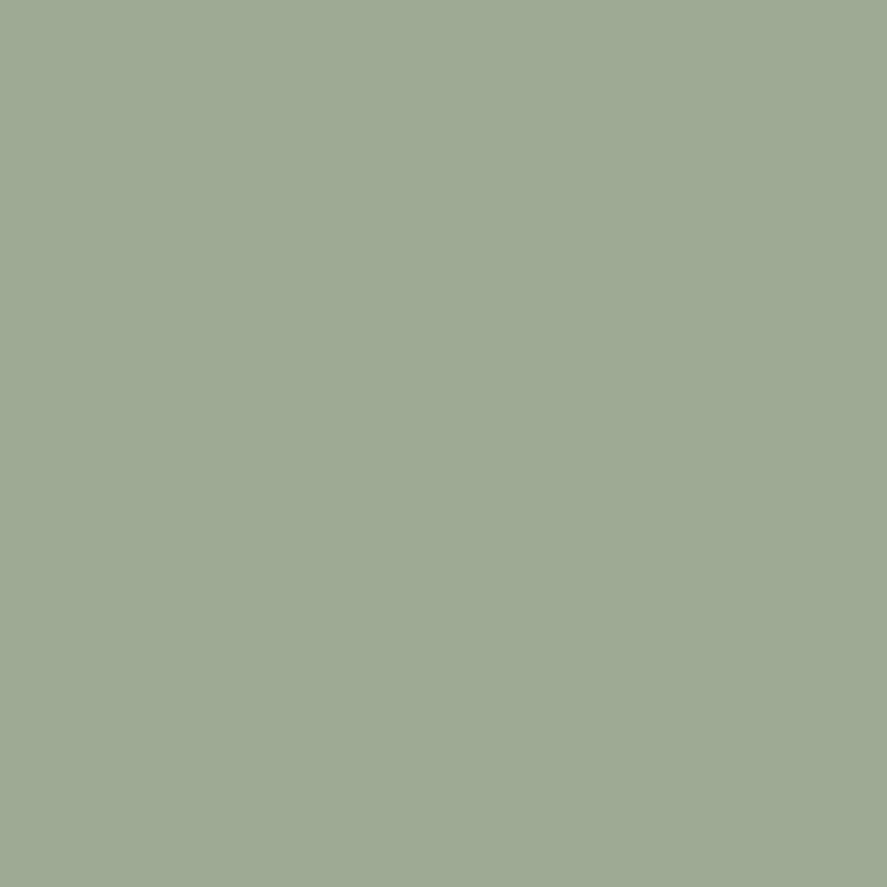 Litho Plain Wallpaper - Green - by Superfresco Easy