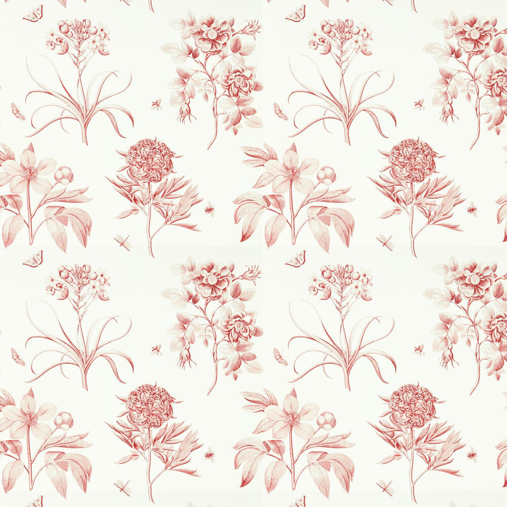 Etchings and Roses Wallpaper - Amanpuri Red - by Sanderson