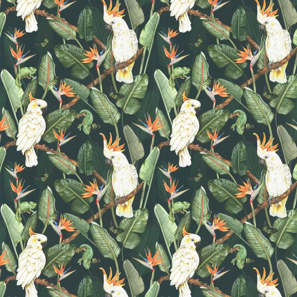 Isabelle Boxall Wallpaper Birds of Paradise IB5012