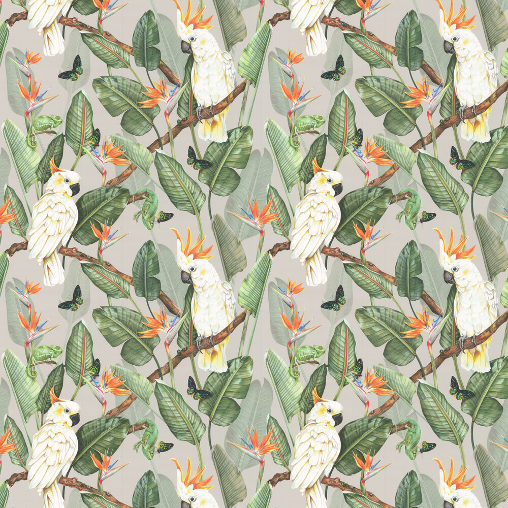Birds of Paradise Wallpaper - Limestone - by Isabelle Boxall