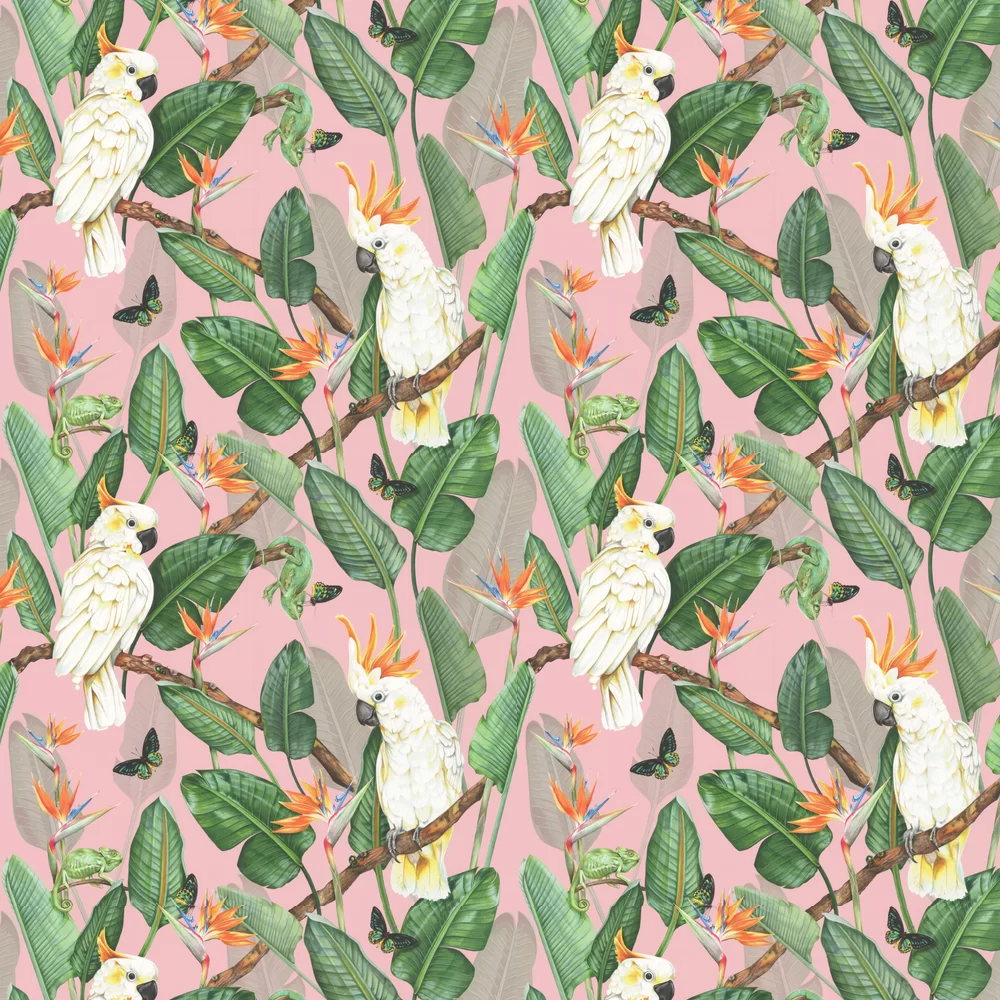 Isabelle Boxall Wallpaper Birds of Paradise IB5015