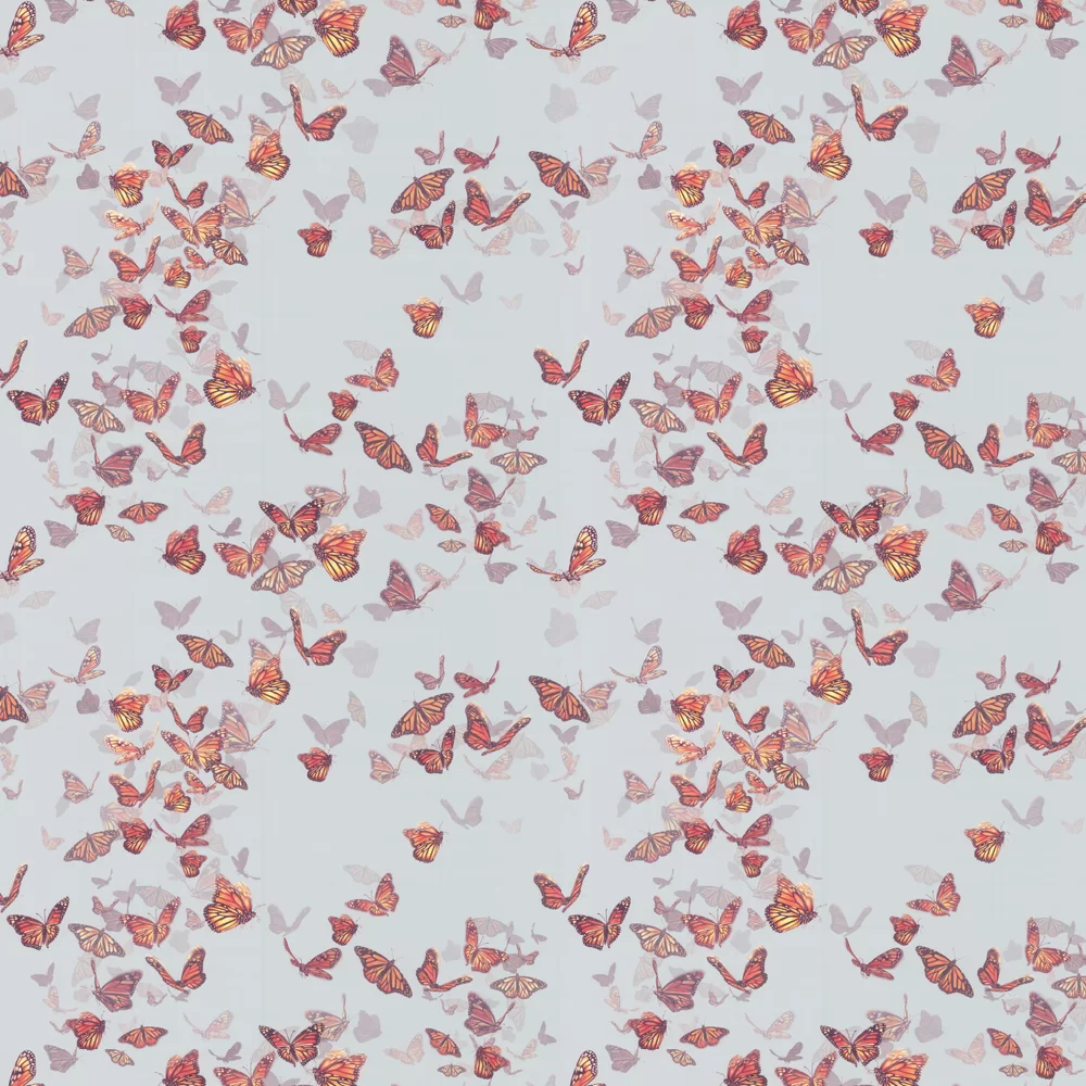 Isabelle Boxall Wallpaper Flight of Monarchs IB5024