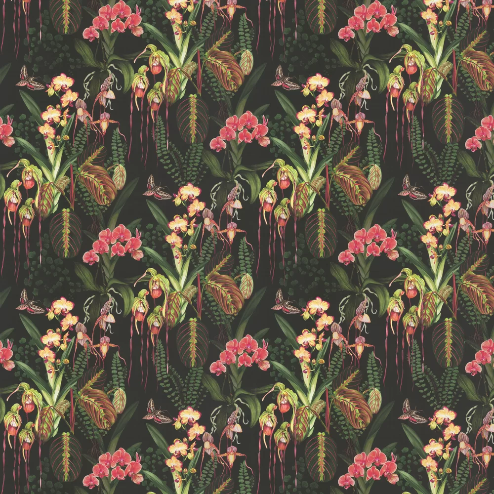 Isabelle Boxall Wallpaper Orchid Jungle IB5020