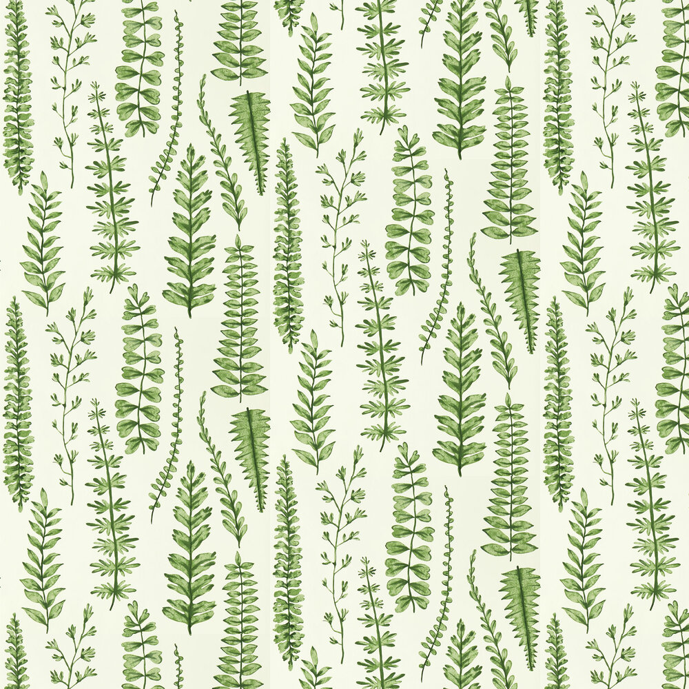 Ferns Wallpaper - Juniper - by Scion