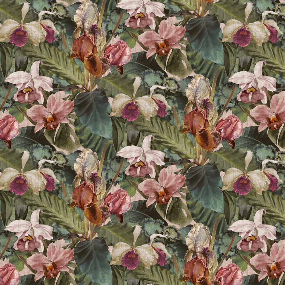 Hot House Wallpaper - Blush - by Sidney Paul & Co