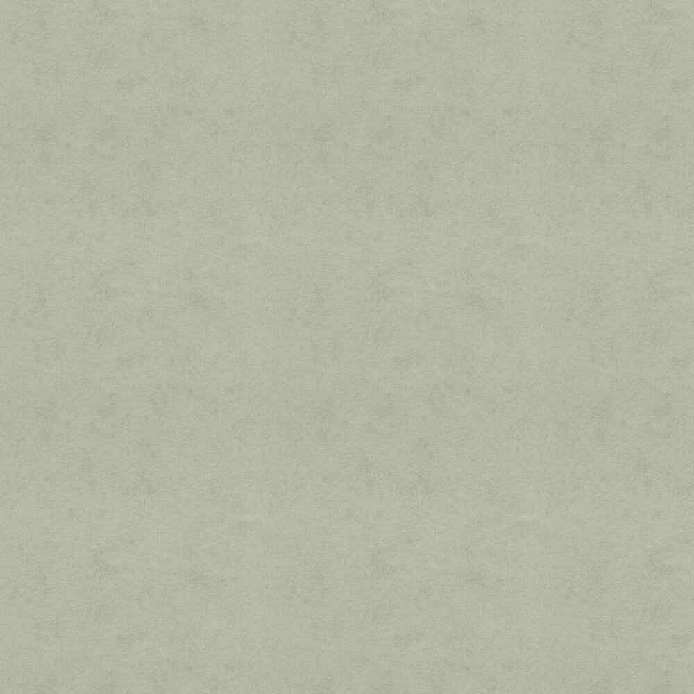 Plain Wallpaper - Sage - by Albany