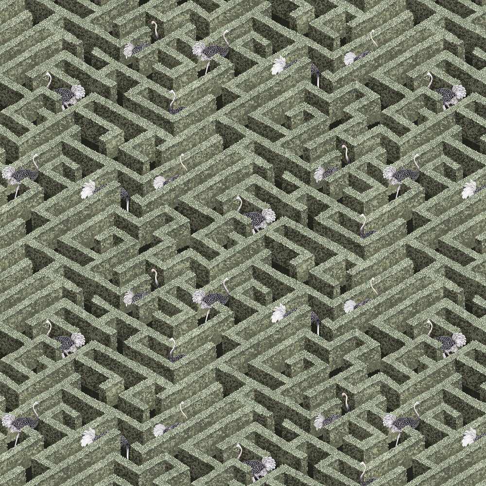 Labyrinth with Ostrich Wallpaper - Eucalyptus - by Josephine Munsey