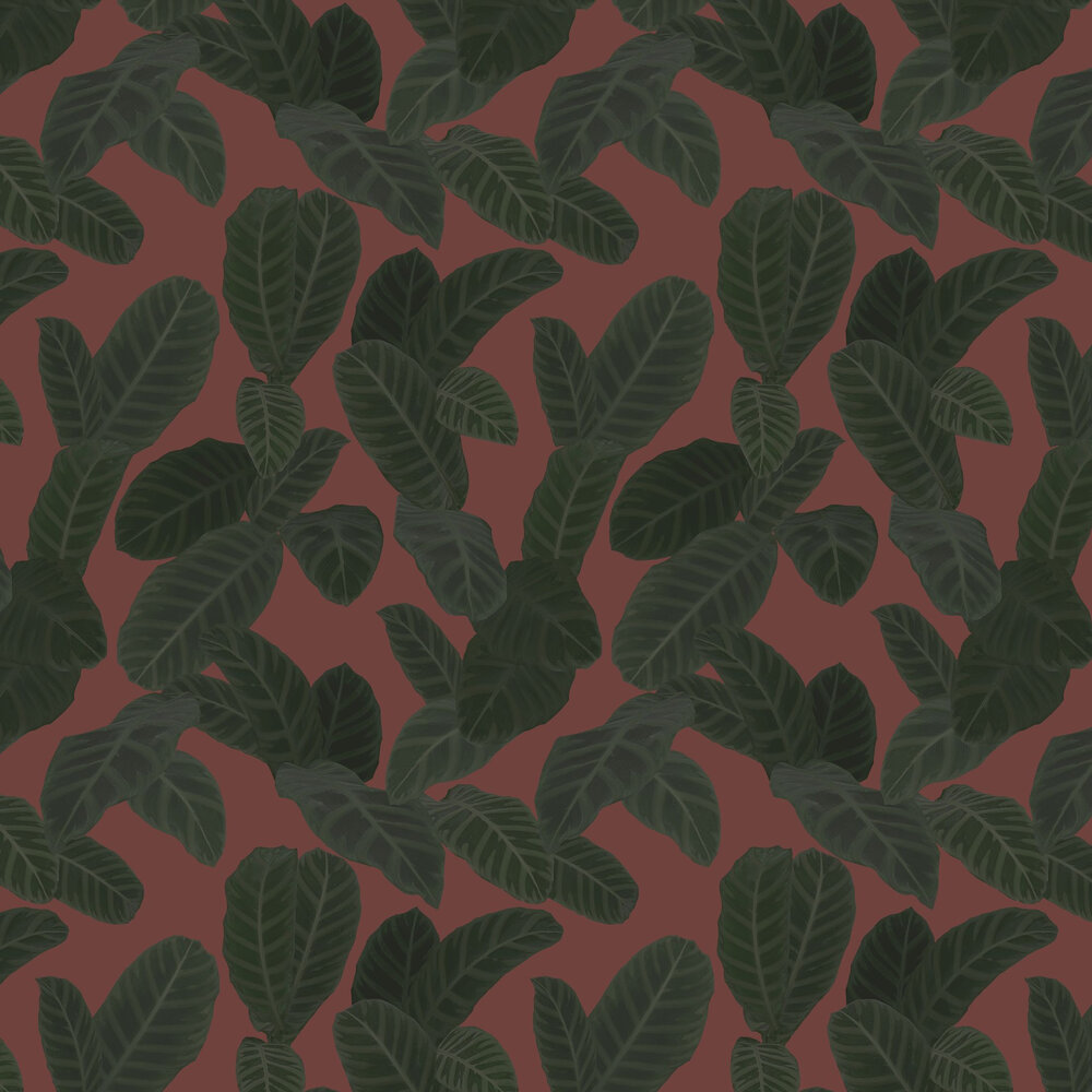 Piner Wallpaper - Maroon - by Ted Baker