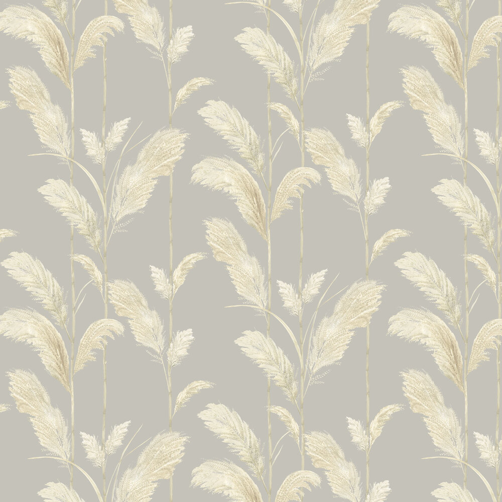 Pampas Grass Wallpaper - Neutral Grey - by Brand McKenzie